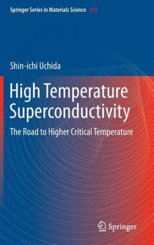 Könyv High Temperature Superconductivity Shin-ichi Uchida