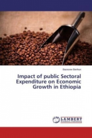 Knjiga Impact of public Sectoral Expenditure on Economic Growth in Ethiopia Bazezew Berihun