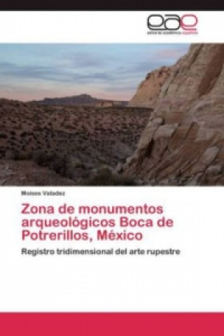 Kniha Zona de monumentos arqueológicos Boca de Potrerillos, México Moises Valadez