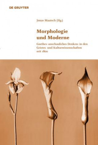 Książka Morphologie und Moderne Jonas Maatsch