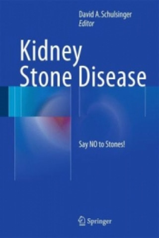 Könyv Kidney Stone Disease David A. Schulsinger