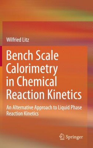 Kniha Bench Scale Calorimetry in Chemical Reaction Kinetics Wilfried Litz