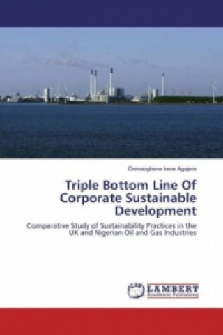 Carte Triple Bottom Line Of Corporate Sustainable Development Orevaoghene Irene Agajere