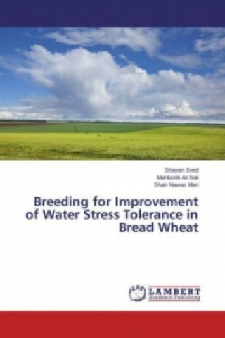 Könyv Breeding for Improvement of Water Stress Tolerance in Bread Wheat Shayan Syed