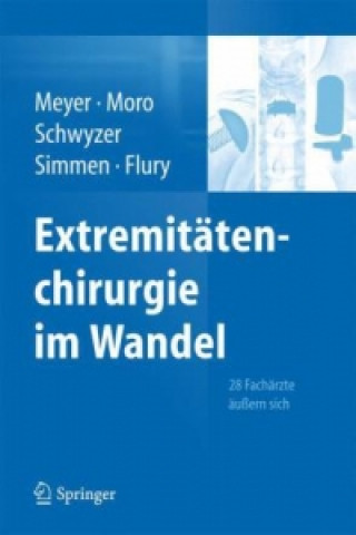 Kniha Extremitatenchirurgie im Wandel Rainer Peter Meyer