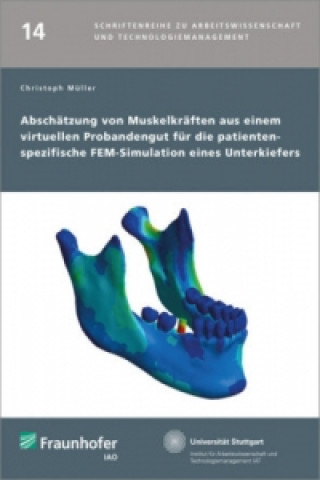 Kniha Abschätzung von Muskelkräften aus einem virtuellen Probandengut für die patientenspezifische FEM-Simulation eines Unterkiefers. Christoph Müller