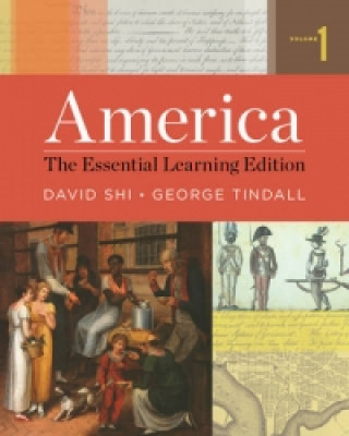 Książka America David E. Shi