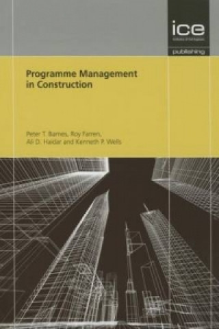 Kniha Programme Management in Construction Ali Haidar