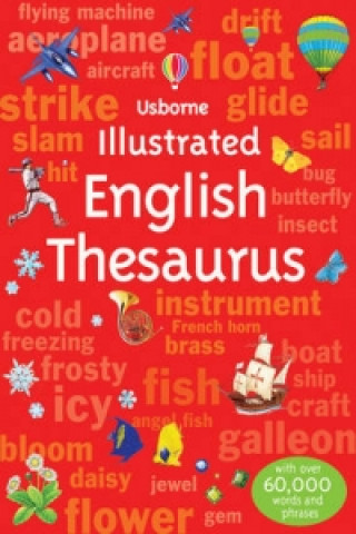 Kniha Illustrated English Thesaurus Jane Bingham & Fiona Chandler