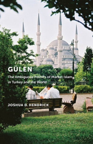 Kniha Gulen Joshua D Hendrick