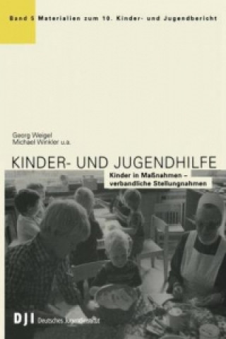 Książka Kinder- und Jugendhilfe 