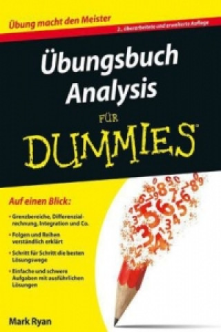 Kniha UEbungsbuch Analysis fur Dummies Mark Ryan