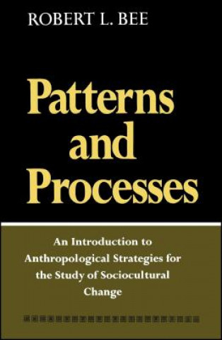 Knjiga Patterns and Process Robert L. Bee