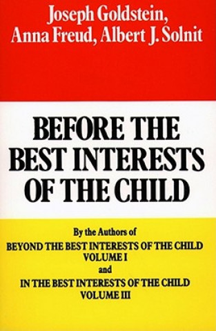 Carte Before the Best Interests of the Child Joseph Goldstein