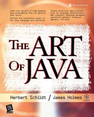 Kniha Art of Java James Holmes