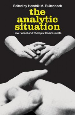 Knjiga Analytic Situation Hendrik M. Ruitenbeek