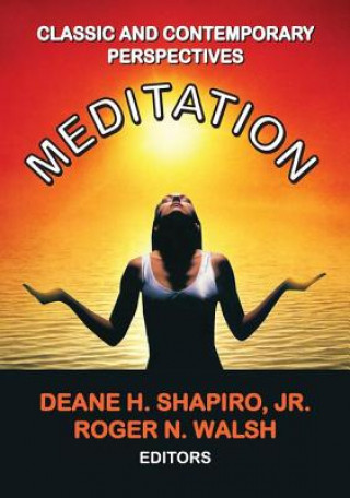 Boek Meditation Jr. Shapiro