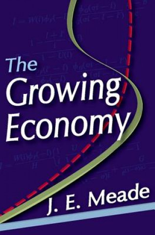 Knjiga Growing Economy J. E. Meade