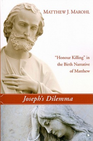 Buch Joseph's Dilemma Matthew J. Marohl