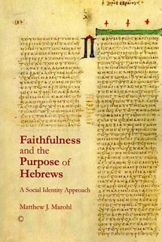 Buch Faithfulness and the Purpose of Hebrews Matthew J. Marohl