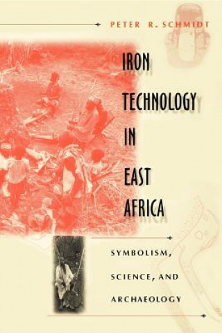 Книга Iron Technology in East Africa P.R. Schmidt