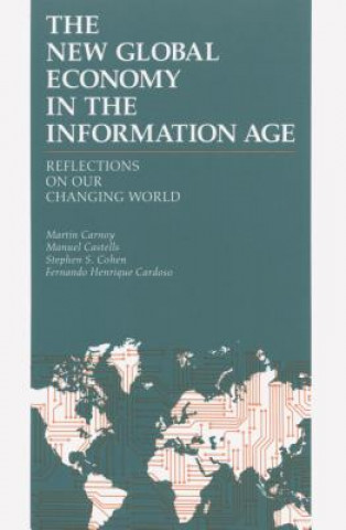 Kniha New Global Economy in the Information Age Manuel Castells