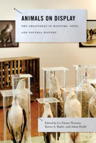 Kniha Animals on Display Liv Emma Thorsen