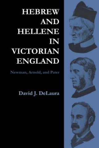 Kniha Hebrew and Hellene in Victorian England David Delaura