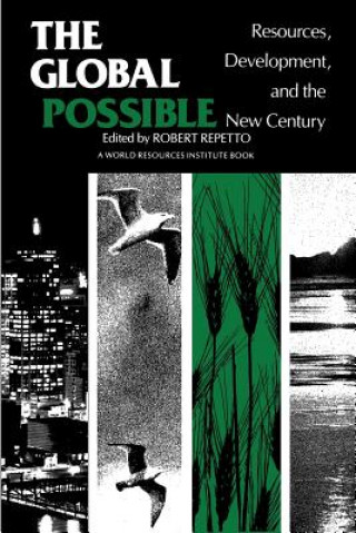 Buch Global Possible Robert Repetto