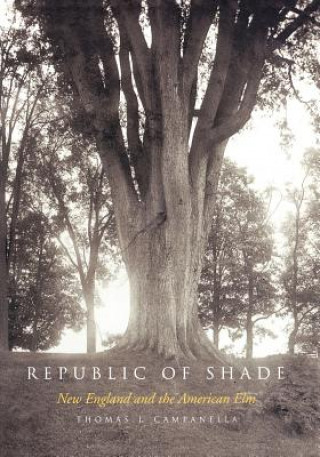 Carte Republic of Shade Thomas J. Campanella