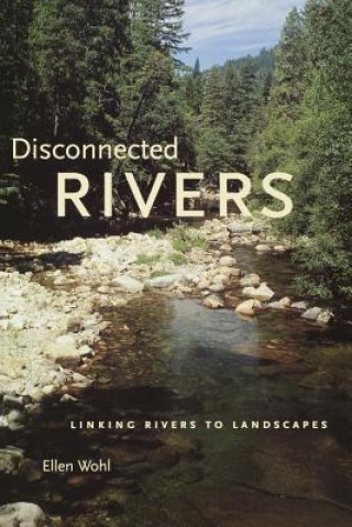 Kniha Disconnected Rivers Ellen E. Wohl