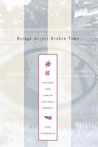 Kniha Bridge Across Broken Time Professor Vera Schwarcz