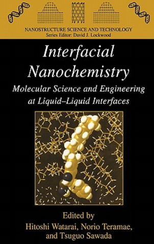 Knjiga Interfacial Nanochemistry Hitoshi Watarai