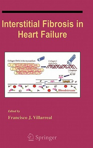 Książka Interstitial Fibrosis in Heart Failure Francisco Villarreal