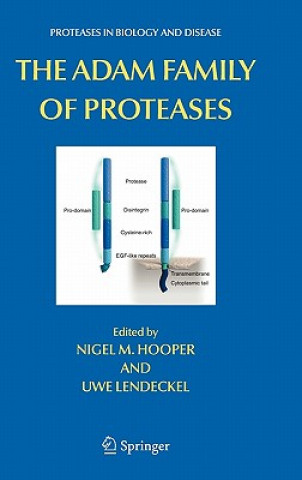 Книга ADAM Family of Proteases Nigel M. Hooper