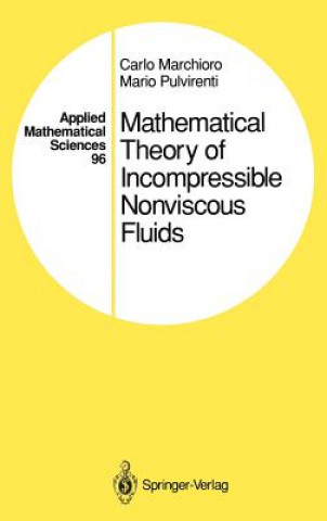 Kniha Mathematical Theory of Incompressible Nonviscous Fluids Mario Pulvirenti