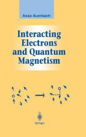 Kniha Interacting Electrons and Quantum Magnetism Assa Auerbach