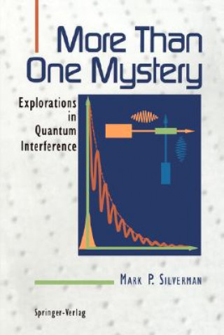 Kniha More Than One Mystery Mark P. Silverman