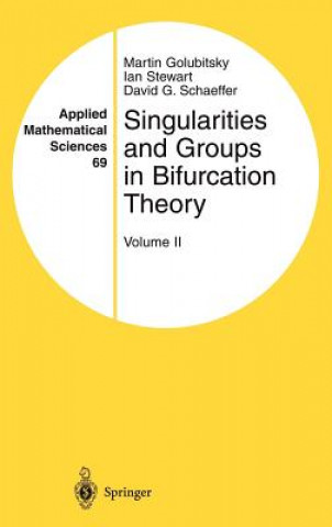 Könyv Singularities and Groups in Bifurcation Theory David G. Schaeffer