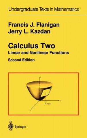 Knjiga Calculus Two Lawrence F. Gray