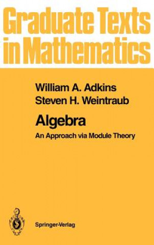 Książka Algebra Steven H. Weintraub