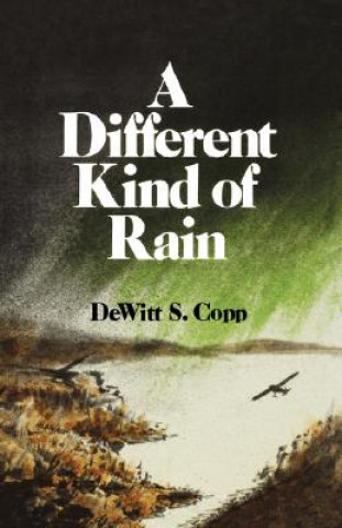 Livre Different Kind of Rain DeWitt S. Copp