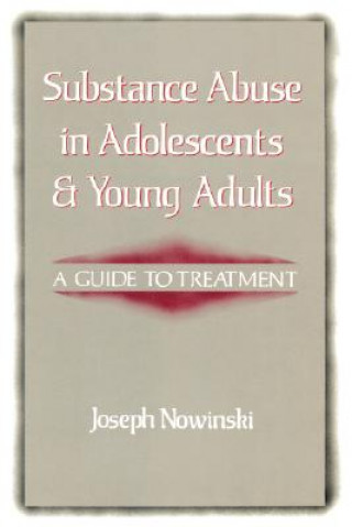 Kniha Substance Abuse in Adolescents and Young Adults Joseph Nowinski