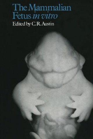 Kniha Mammalian Fetus in vitro Colin Russell Austin