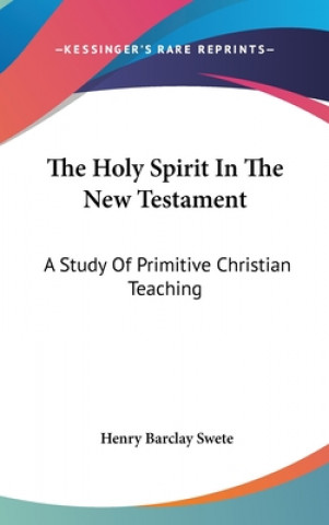 Kniha THE HOLY SPIRIT IN THE NEW TESTAMENT: A HENRY BARCLAY SWETE