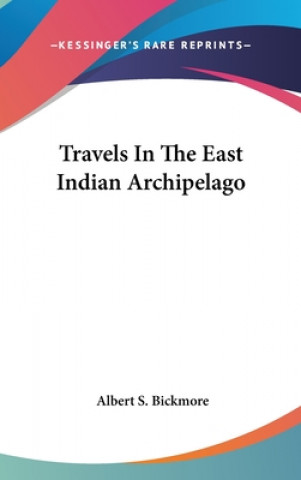 Kniha Travels In The East Indian Archipelago Albert S. Bickmore