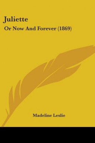 Книга Juliette: Or Now And Forever (1869) Madeline Leslie