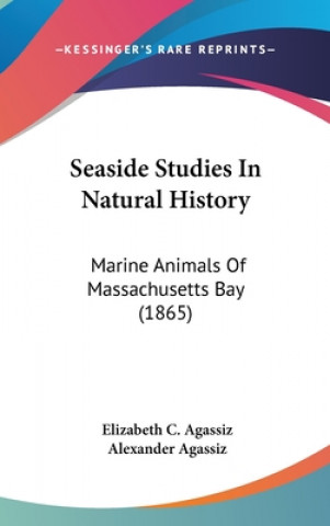 Kniha Seaside Studies In Natural History Alexander Agassiz