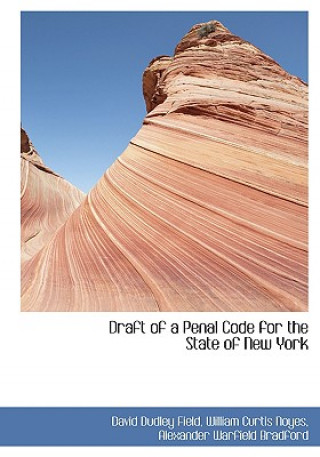 Buch Draft of a Penal Code for the State of New York William Curtis Noyes Alex Dudley Field