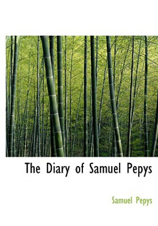 Kniha Diary of Samuel Pepys Samuel Pepys